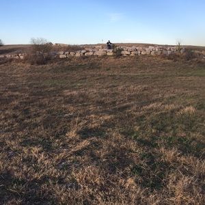 Meet your Posher, Rosa